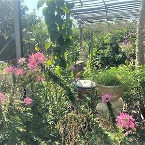 Cat Canh Farm *
