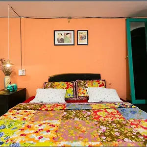 Funky Architect's House Apartment Ho Chi Minh City