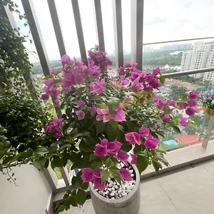 Alahome 3br Luxury Hung Phuc Apartment Ho Chi Minh City