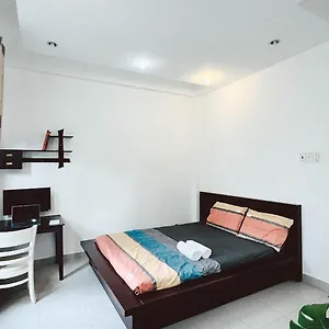 The Mango Tree Homestay Saigon Guest house *