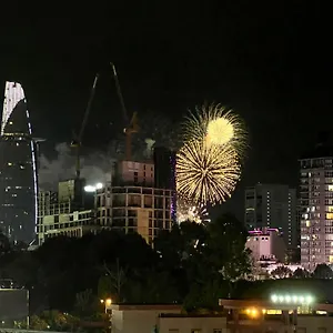 Mini 1br In D1-park View,near Buivien Street Ho Chi Minh City