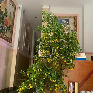 Hotel Khach San Anh Nguyet 1